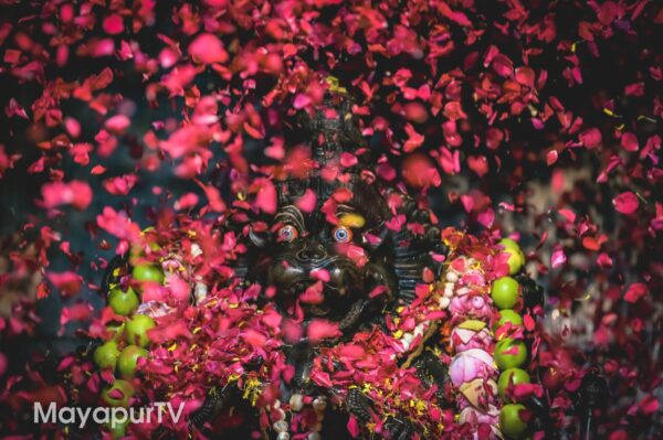 Sponsor Pushpa Abhishek Flowers