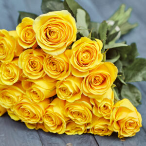 Yellow Rose Flower