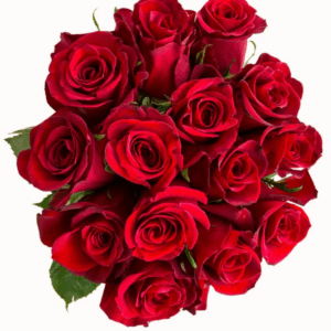 Rose Flower